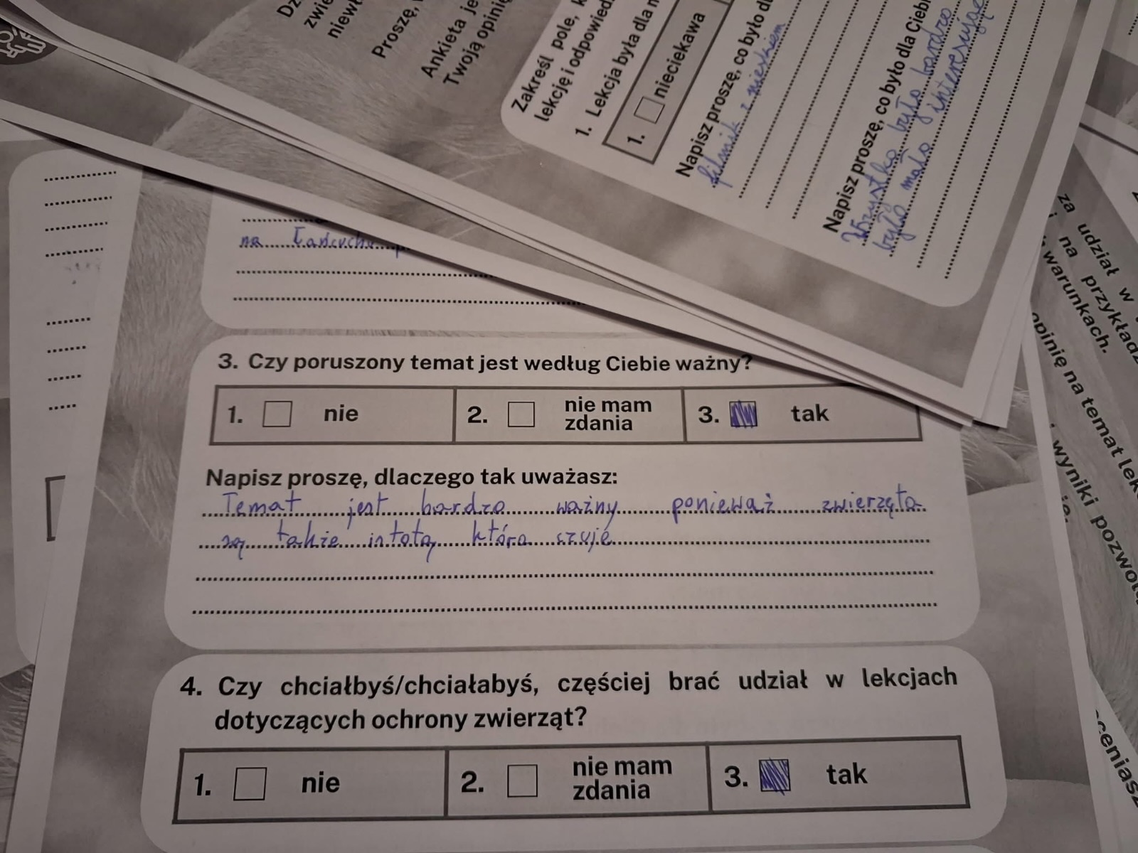 Z ankiety po lekcji: „Temat jest bardzo ważny, ponieważ zwierzęta…”