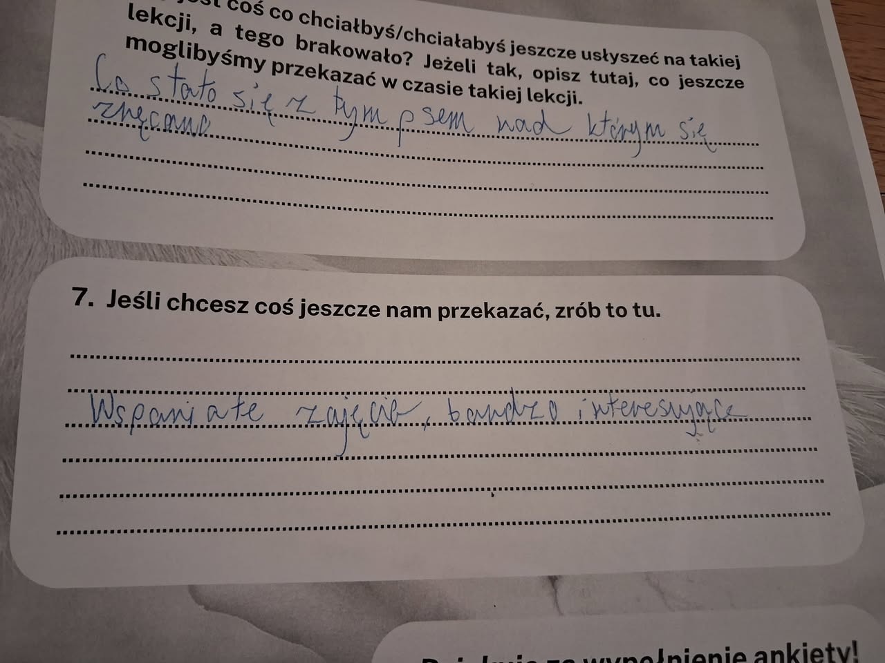 Z ankiety po lekcji: „Wspaniałe zajęcia, bardzo interesujące”