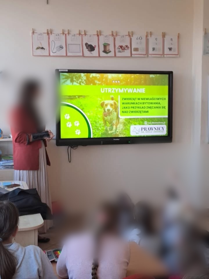 Lekcja w szkole podstawowej