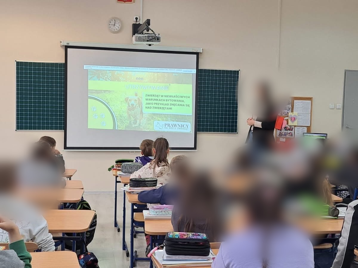 Lekcja Prawników na Rzecz Zwierząt o warunkach, w jakich żyją zwierzęta