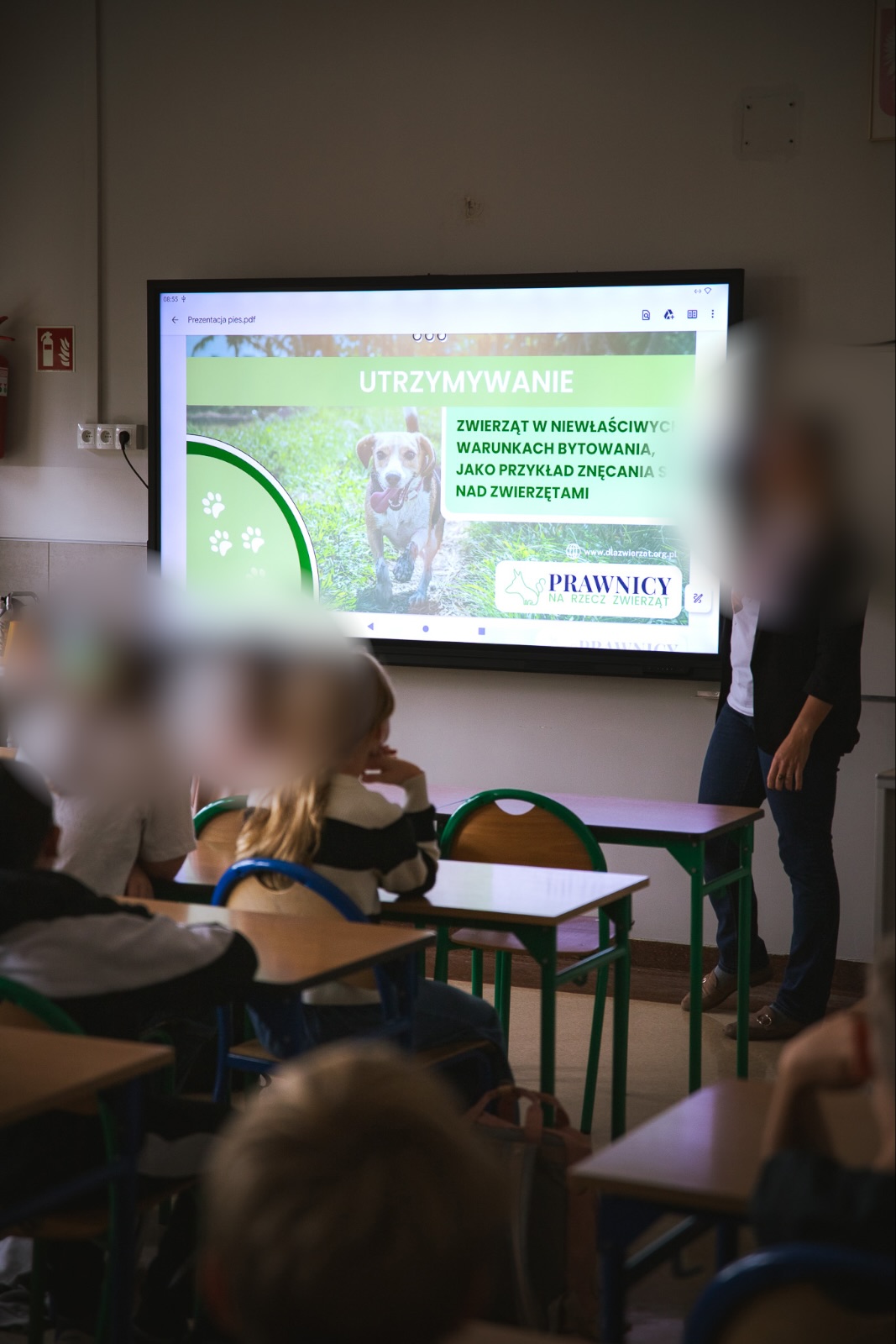 Lekcja o warunkach życia zwierząt