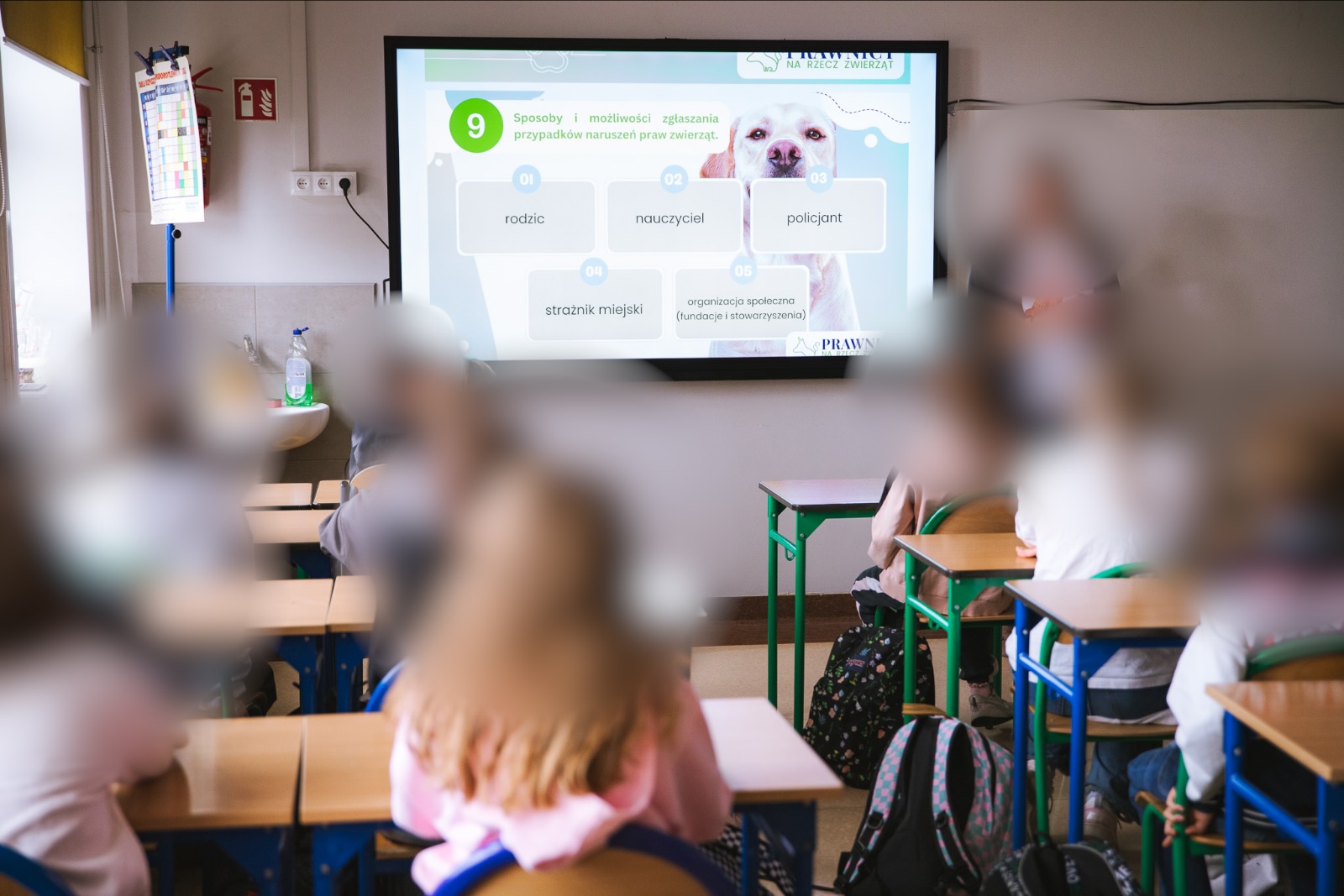 Lekcja o sposobach zgłaszania krzywdy zwierząt
