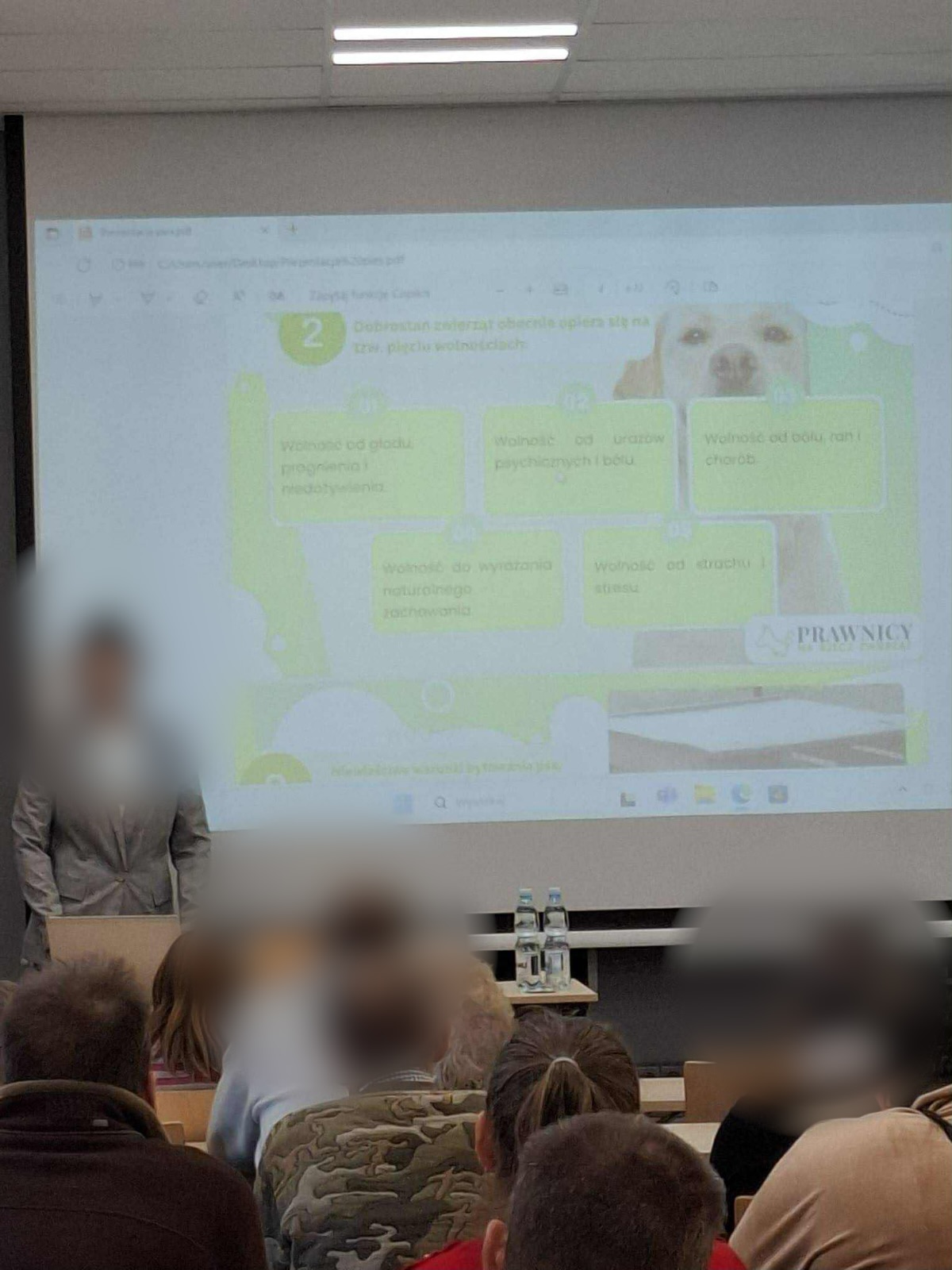 Spotkanie o dobrostanie zwierząt i pięciu wolnościach